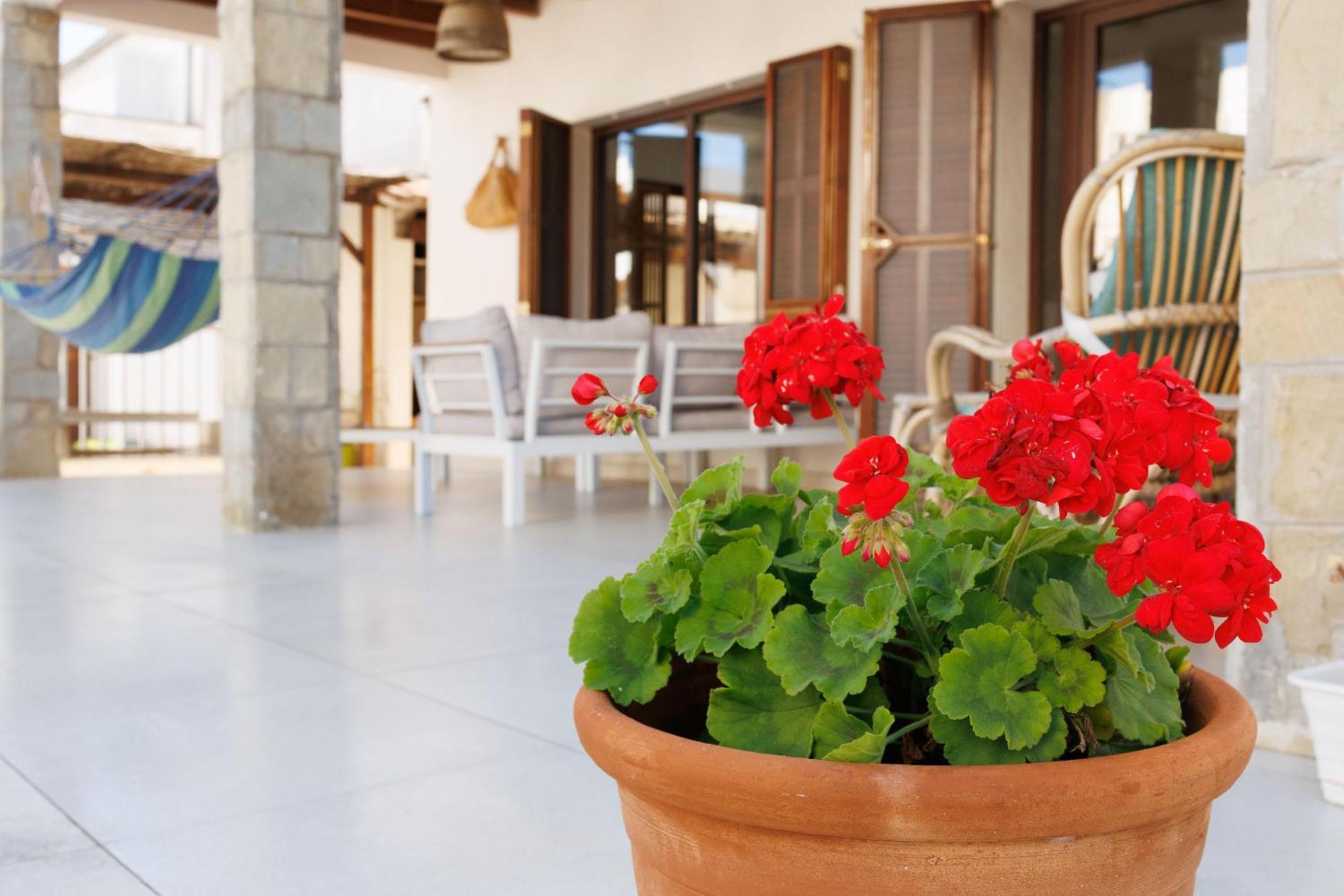 Villa Can Ordinas Alcudia  Exterior photo